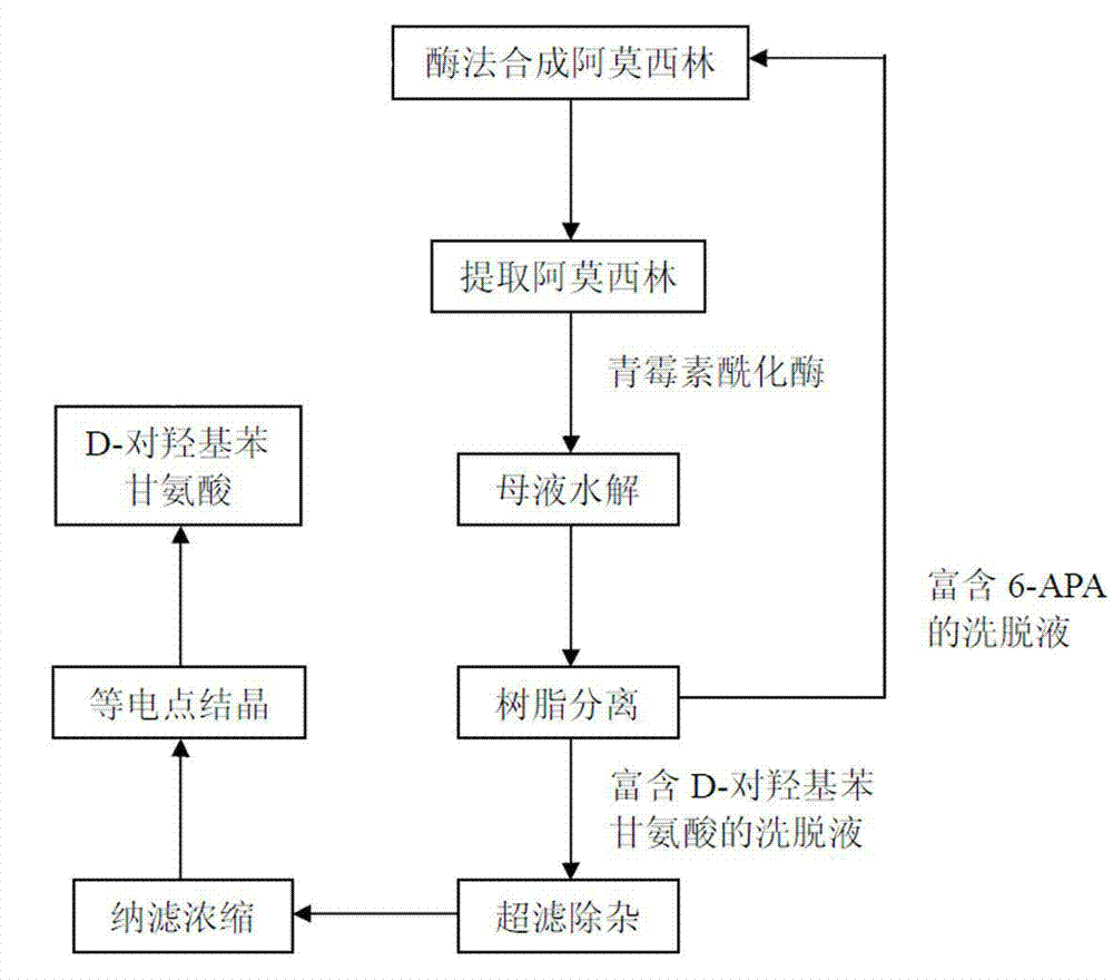 Method for recycling active ingredients in amoxicillin mother liquor synthesized by enzymatic method