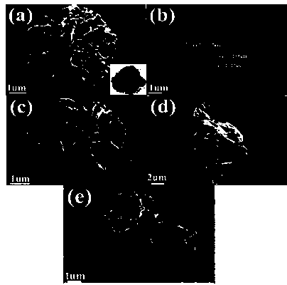 Preparation and application of carnation-shaped p-n heterojunction copper sulfide nanometer material