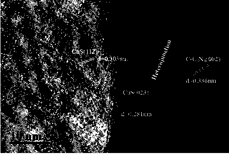 Preparation and application of carnation-shaped p-n heterojunction copper sulfide nanometer material