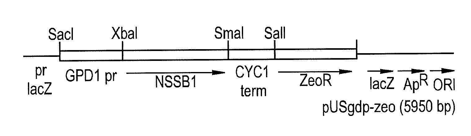 Ethanol yield and reduction of biomass accumulation in the recombinant strain of saccharomyces cerevisiae overexpressing atpase