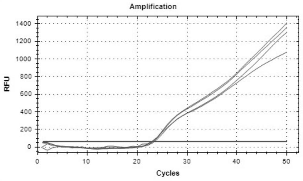 LNA-Taqman-multiplex fluorescence PCR technology and application thereof in rapid detection of candida