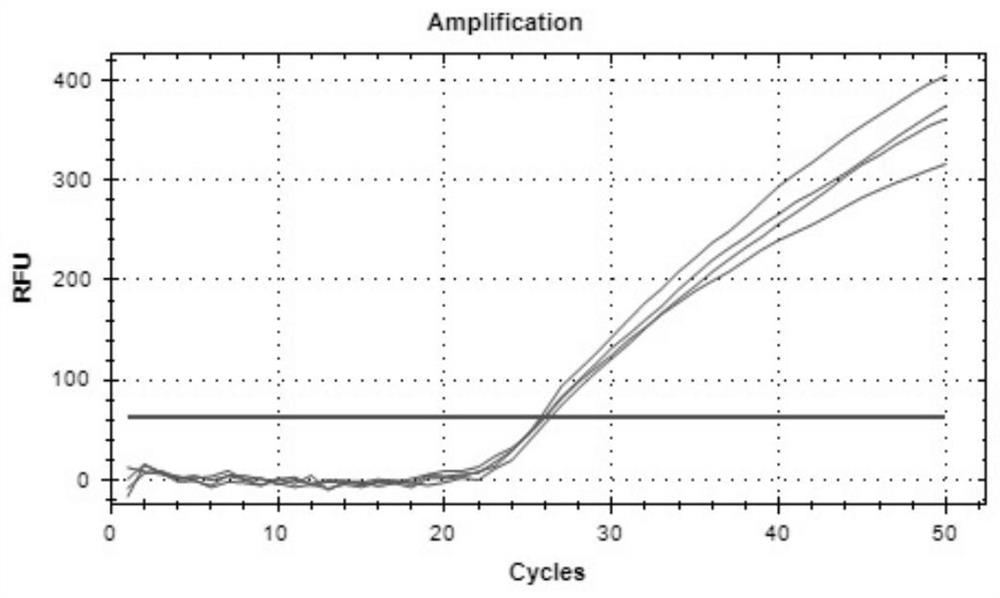 LNA-Taqman-multiplex fluorescence PCR technology and application thereof in rapid detection of candida