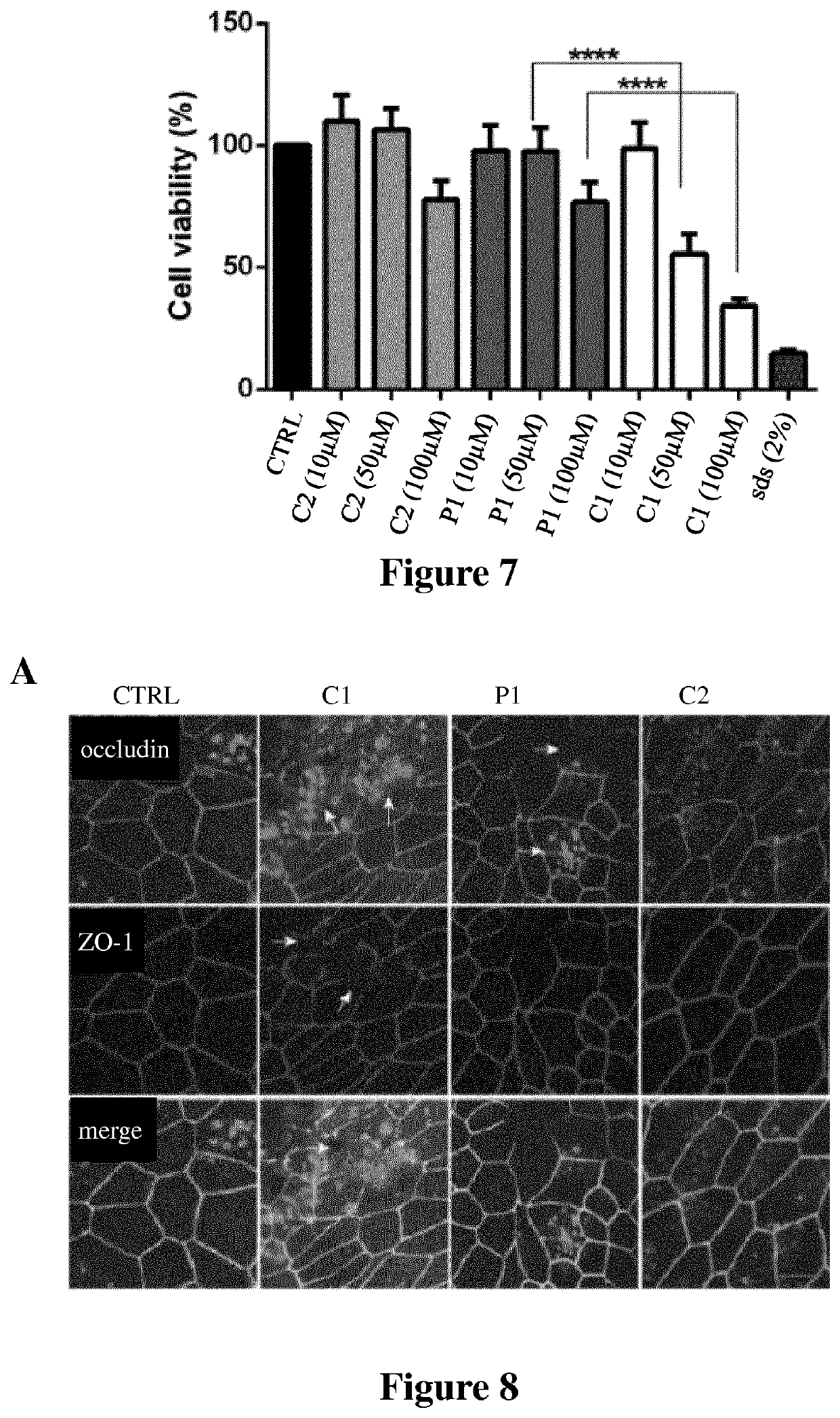 Peptidic protein kinase c inhibitors and uses thereof