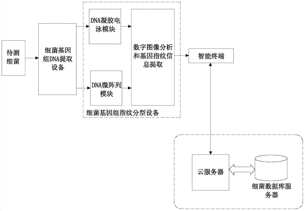 Rapid Bacterial Resistance Prediction System and Its Prediction Method