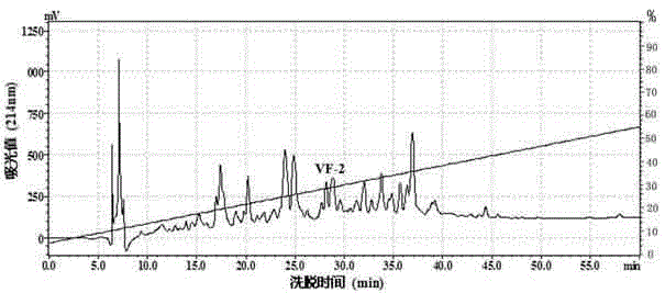 Dandelion seed antioxidant peptide and preparation method and application