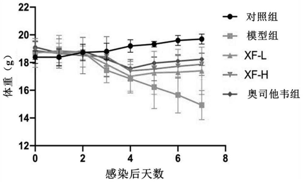 Application of lung-ventilating and toxin-vanquishing prescription to preparation of medicine for preventing and/or treating pneumonia caused by influenza A virus H1N1