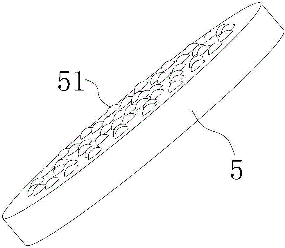 Double-effect biomass fuel forming granulator