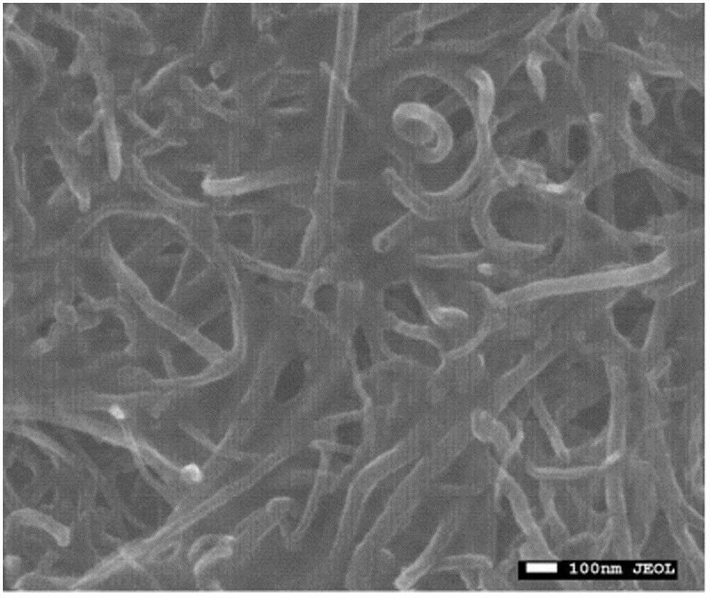 A kind of carbon nanocomposite wave-absorbing slurry and preparation method thereof