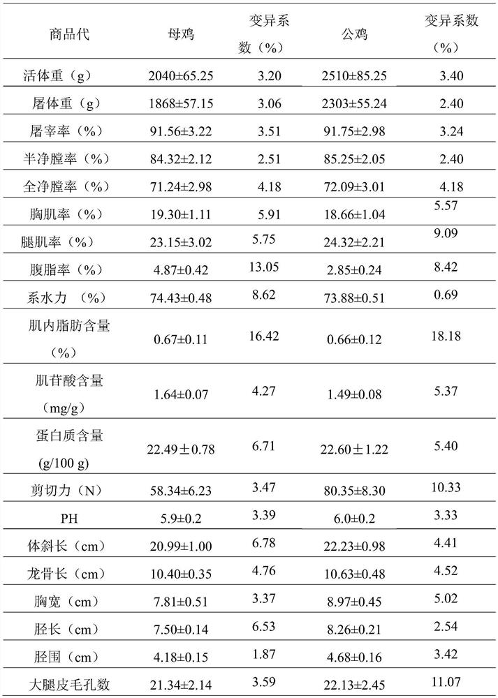 Primer group for breeding slow-feathering homozygous yellow-foot partridge chickens and breeding method of quick yellow-foot partridge chickens suitable for slaughtering