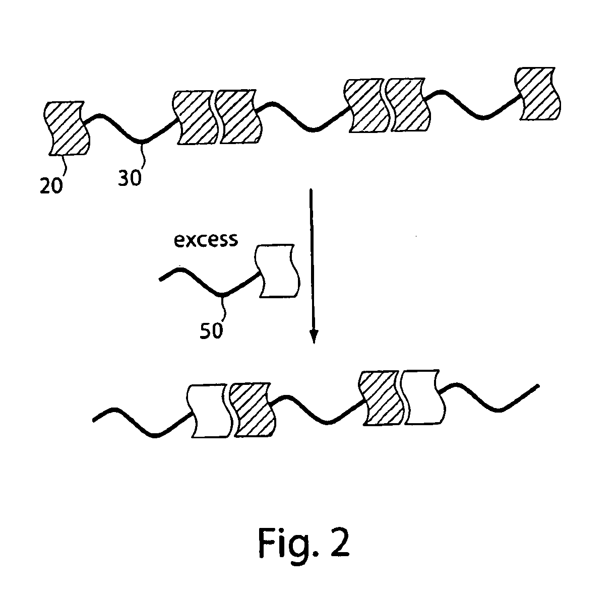 Compositions including polymers aligned via interchain interactions