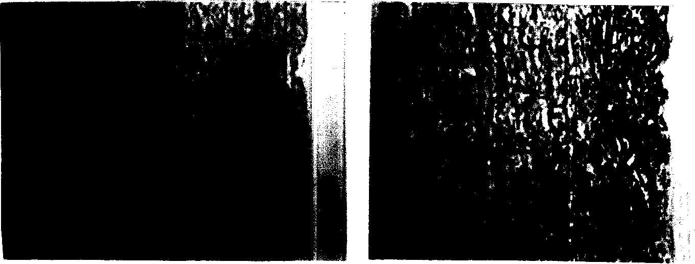 Resist calcification modified method of heterogeneity biological organization material