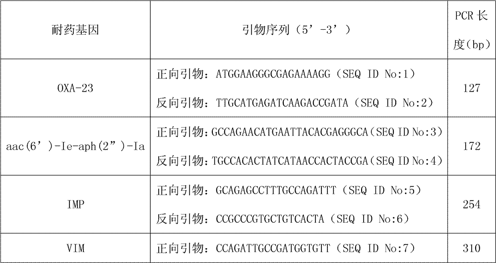 Bacterium drug-resistant gene detection method, gene chip and kit