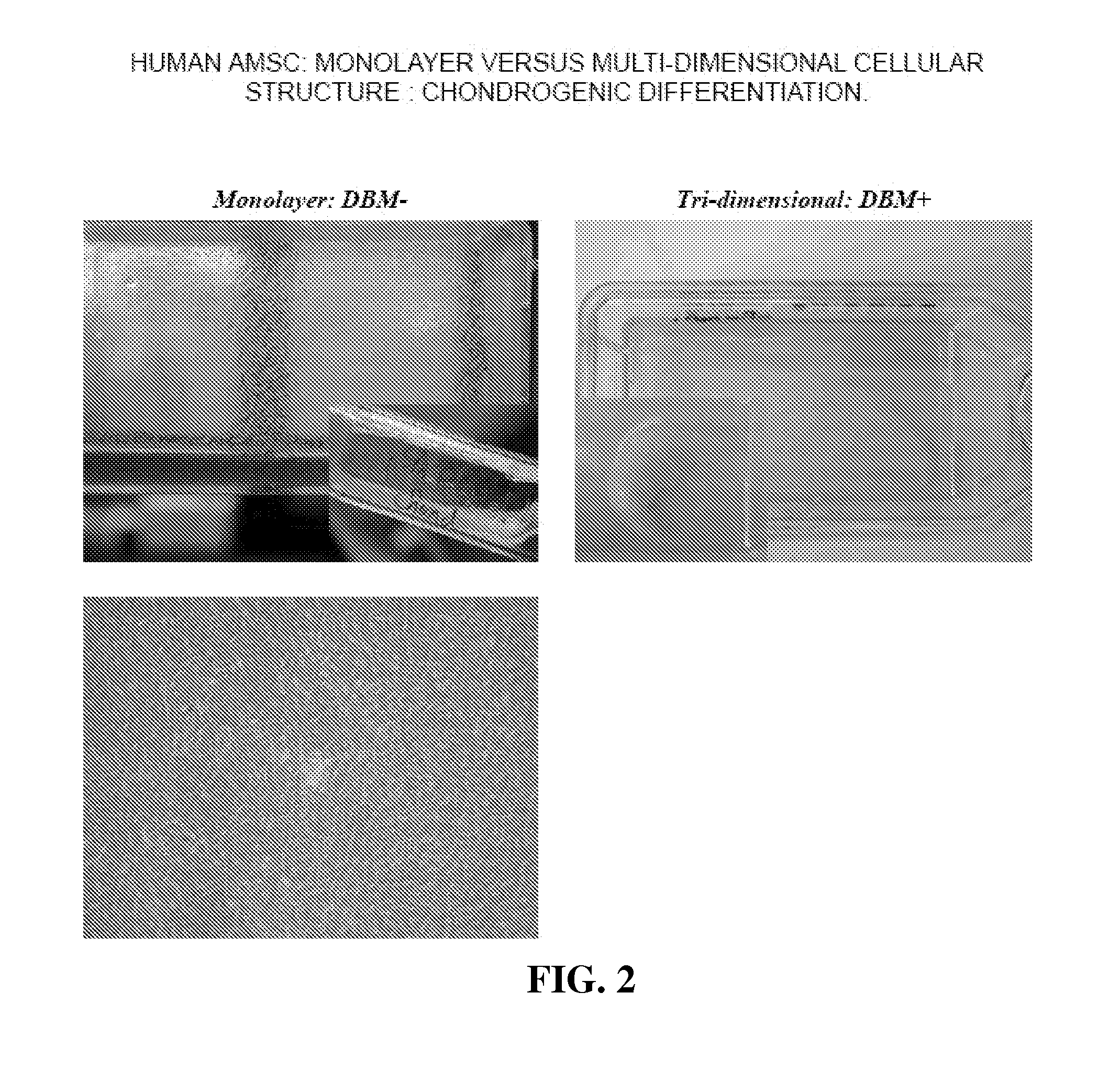 Multi-Dimensional Biomaterial and Method for Producing the Same