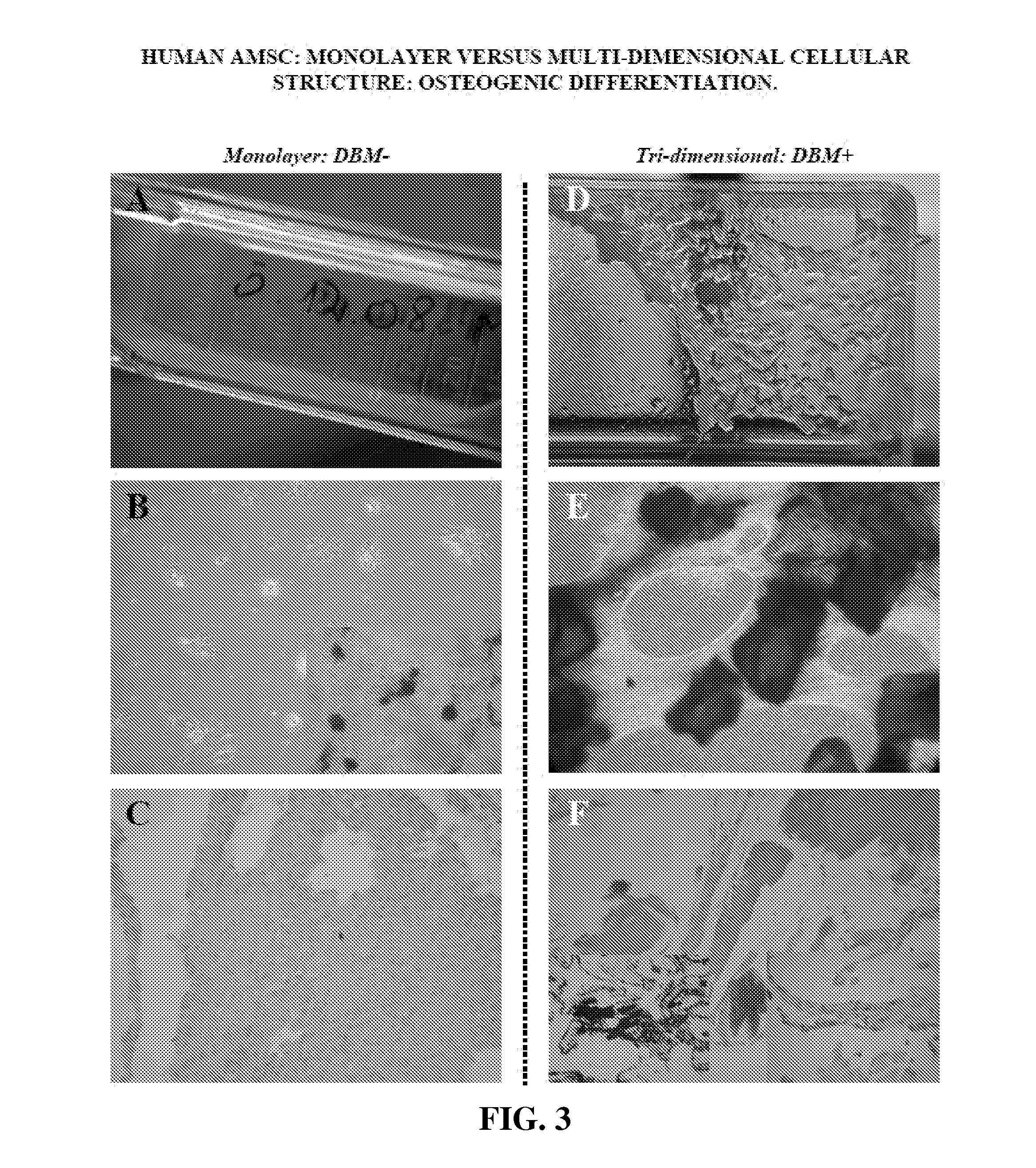 Multi-Dimensional Biomaterial and Method for Producing the Same