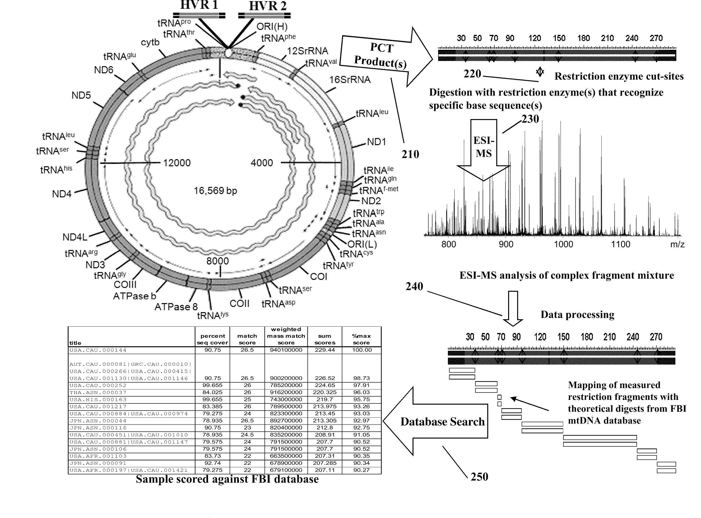 Methods for identifying bioagents