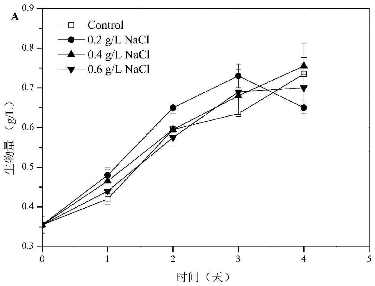 Gamma-aminobutyric acid (GABA) enrichment method based on mixotrophic haematococcus pluvialis