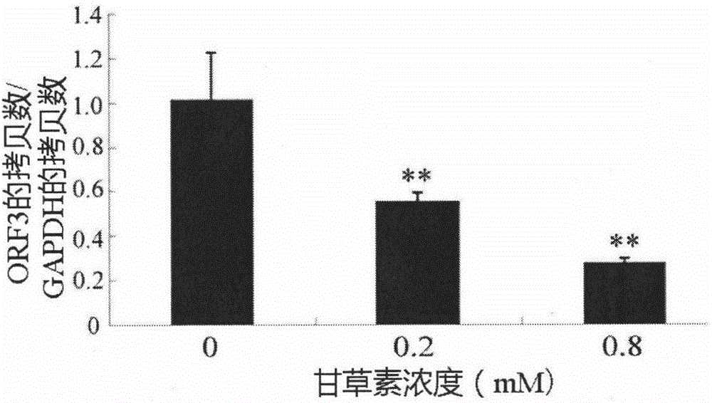 Application of glycyrrhizin in resistance to PEDV (porcine epidemic diarrhea virus) infection