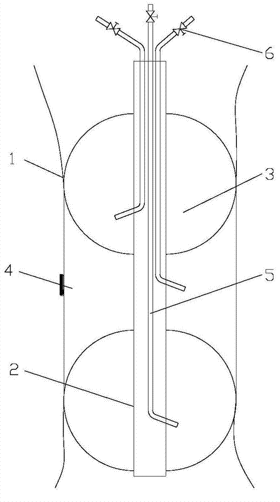 Leakage detecting device for digestive tract anastomotic stoma and leakage detecting method thereof