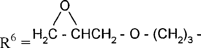 Aqueous composition of organo-silicone with amido group functionalization