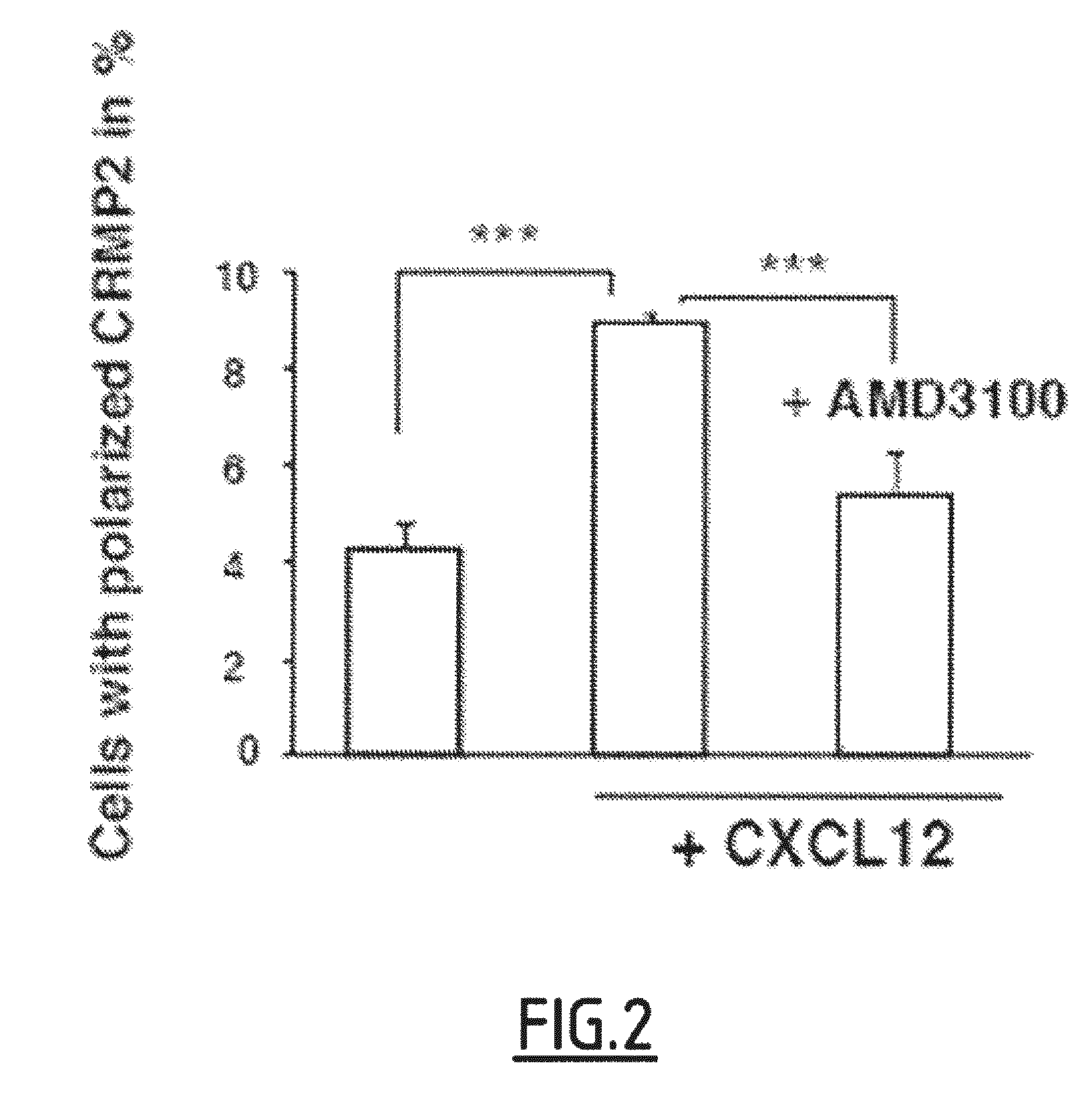 Cleaved and Phosphorylated CRMP2 as Blood Marker of Inflammatory Diseases of the Central Nervous System