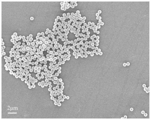 Adhesion thermo-sensitive hydrogel of composite bioglass and preparation method and application of adhesion thermo-sensitive hydrogel