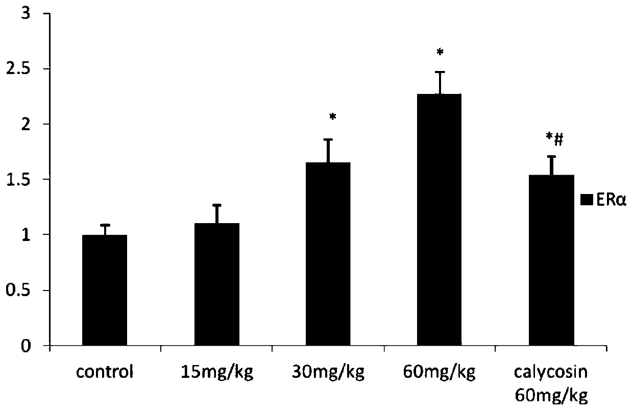 Application of Calycosin Derivatives in Preparation of Drugs for Treating Cerebral Ischemia-Reperfusion Injury