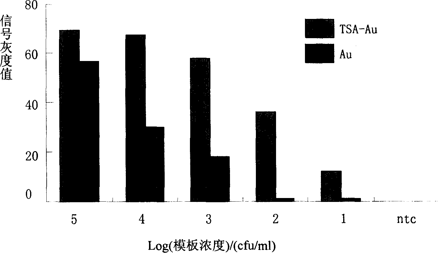 TSA- nano-gold making silver-staining testing method of gene chip