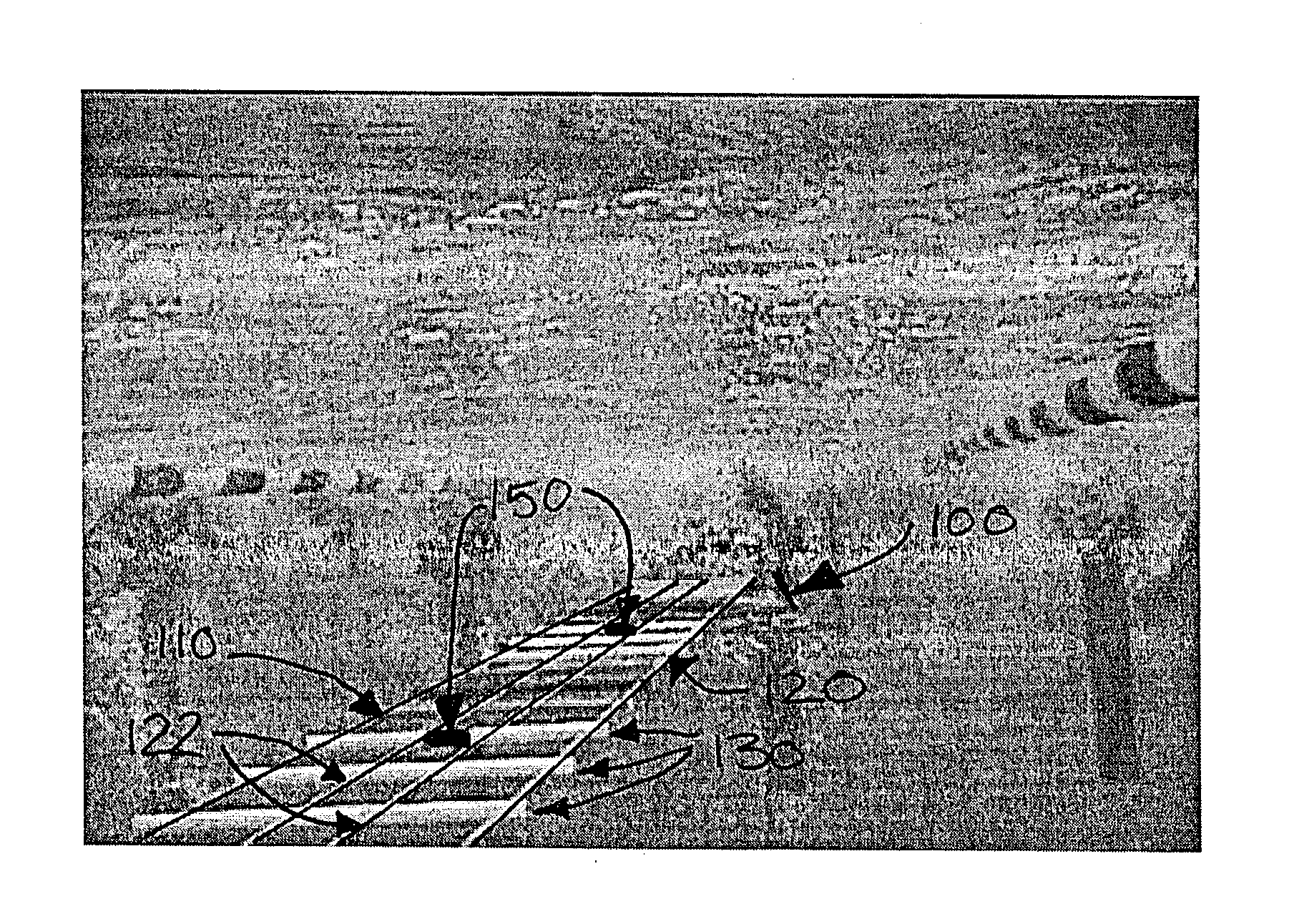 Swim training apparatus and method