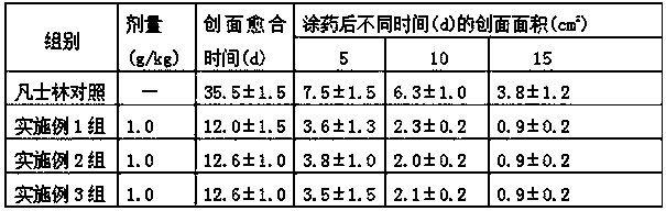 Burn tincture and preparation method thereof