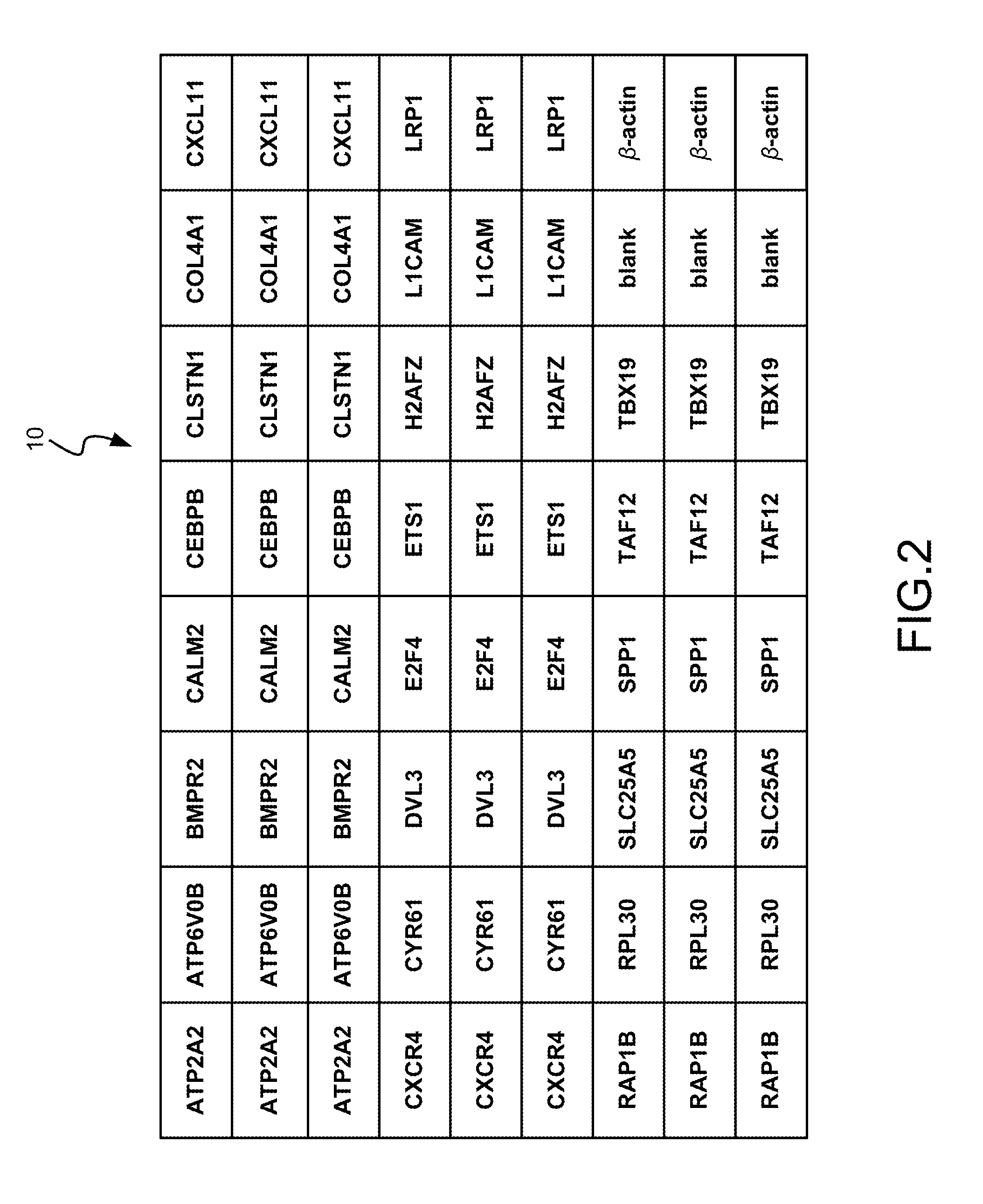 Gene Cluster Diagnosis Apparatus