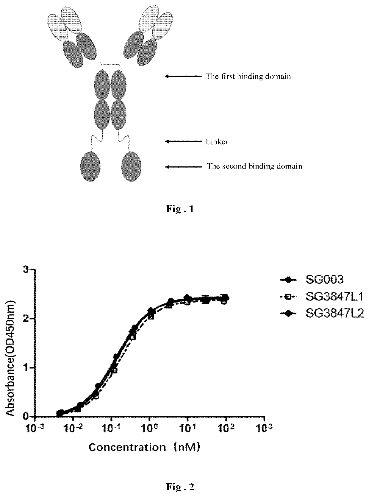 Fusion protein and use thereof