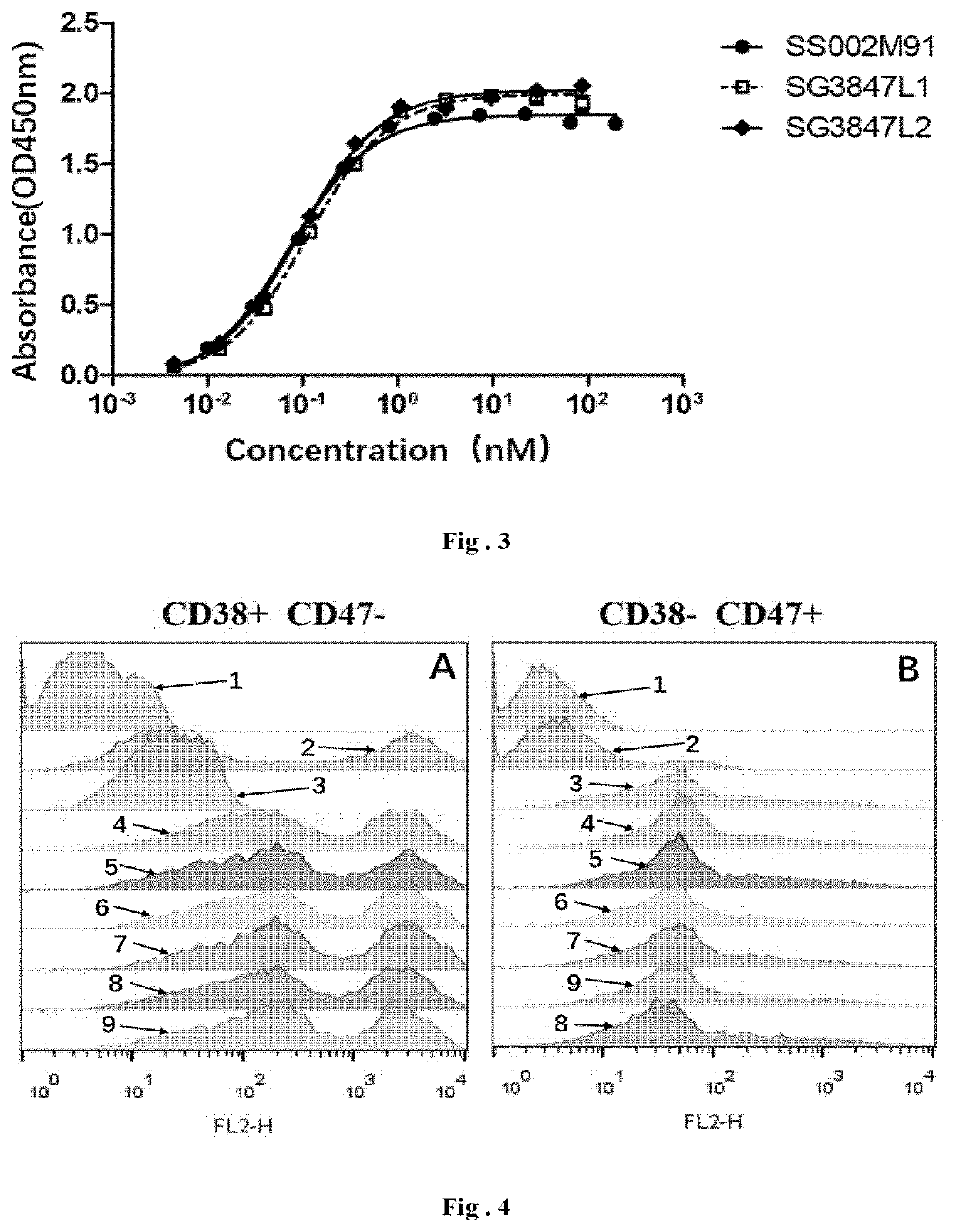 Fusion protein and use thereof