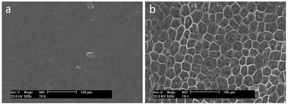 Preparation method and application of flaxseed polysaccharides with antiviral and immune activity