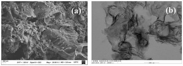 Application of ground-state oxygen-dominated photocatalysts in photocatalytic degradation of pollutants