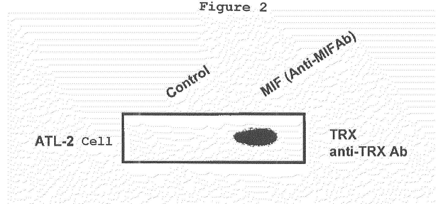 Screening method, a composition comprising substances chosen in the method thereof, and a binding substance