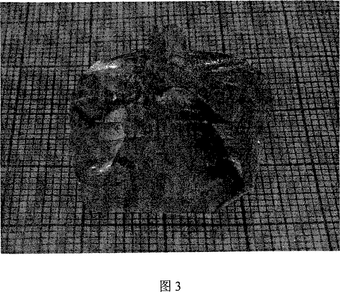 Fluxing agent growth method for trigallium phosphate crystal