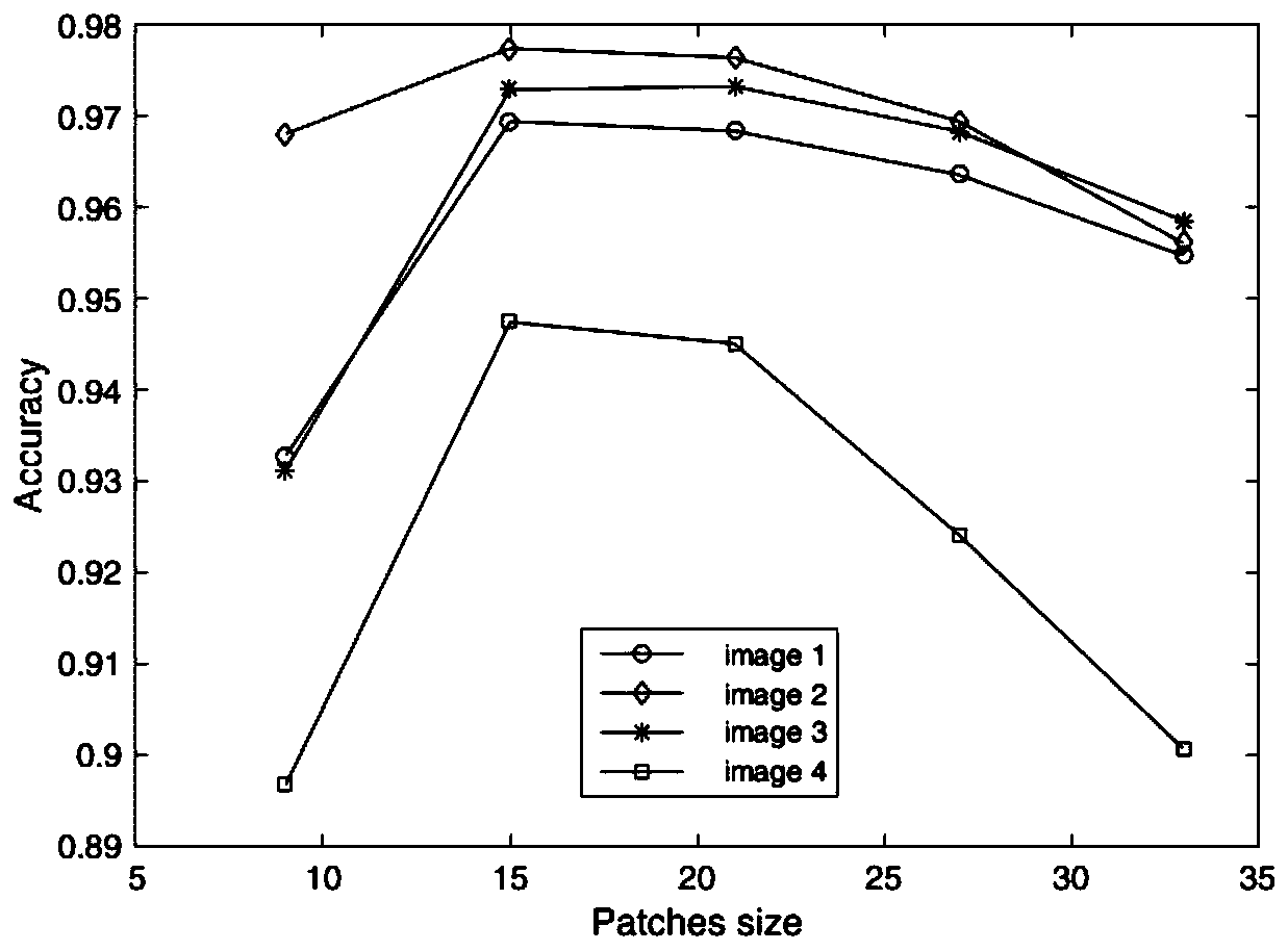 Classification model construction method and device for macular lesion region segmentation