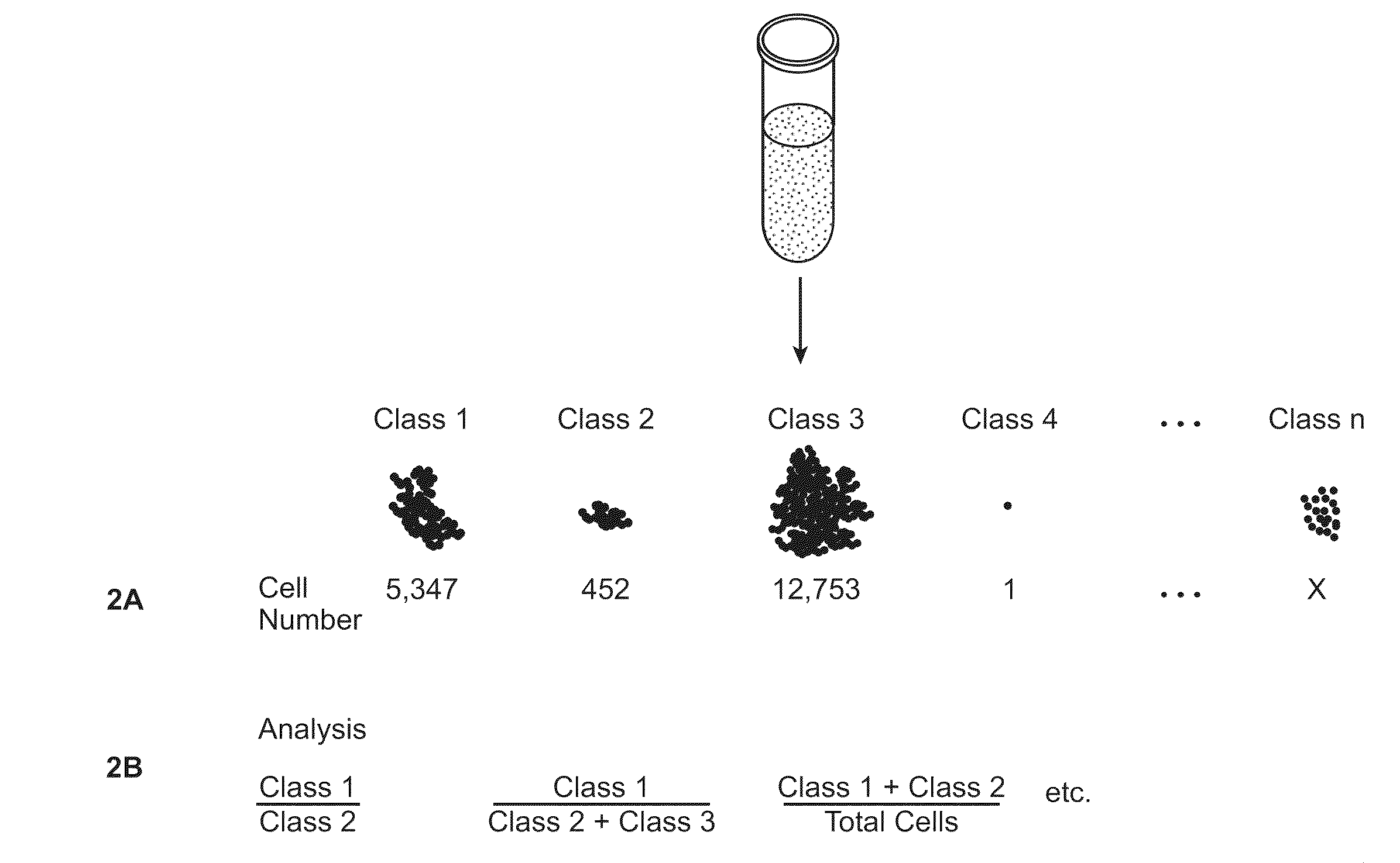 Methods of determining the health status of an individual