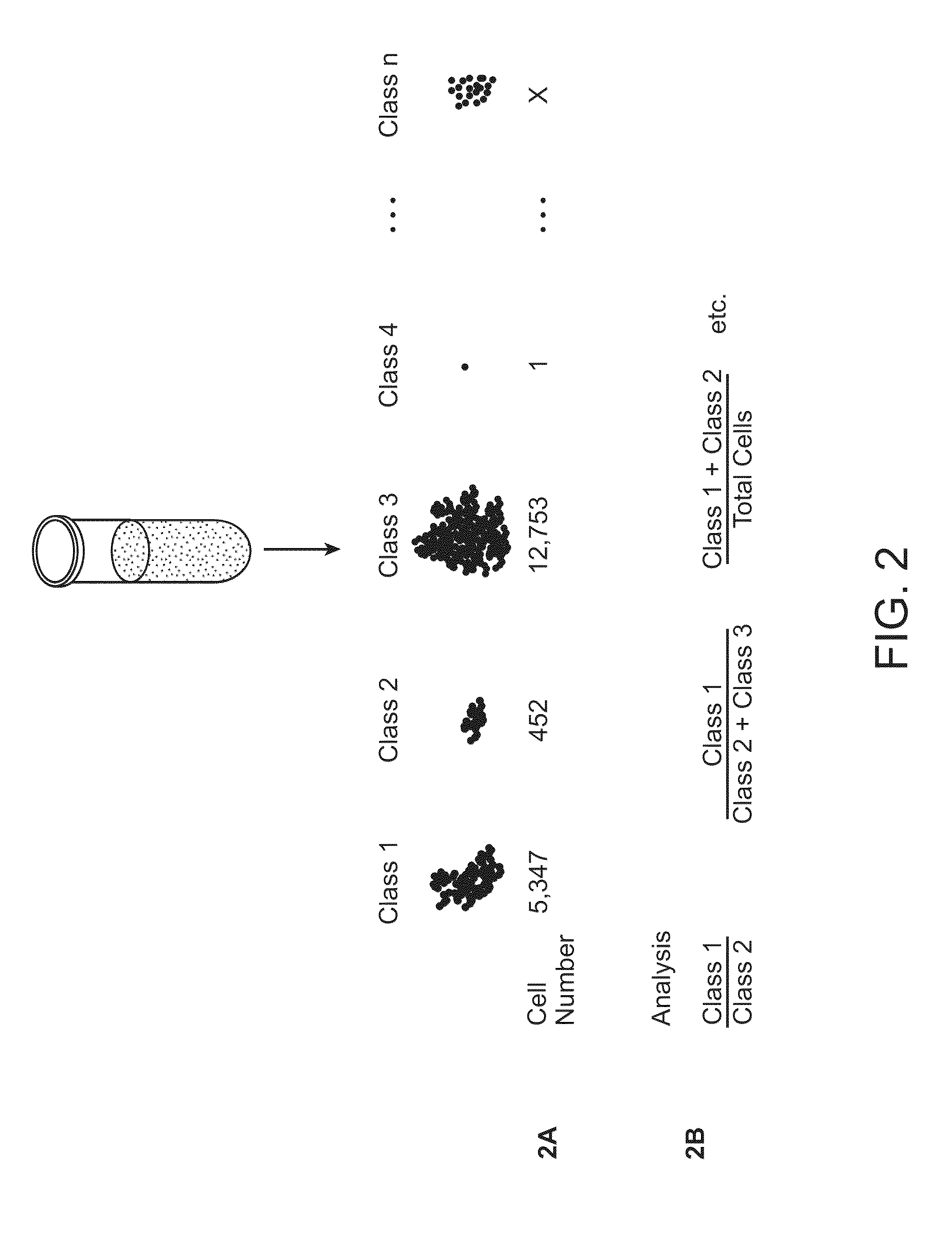 Methods of determining the health status of an individual