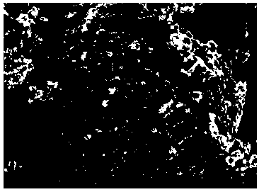 Lithium iron phosphate/lithium metaaluminate compound anode material and preparation method thereof