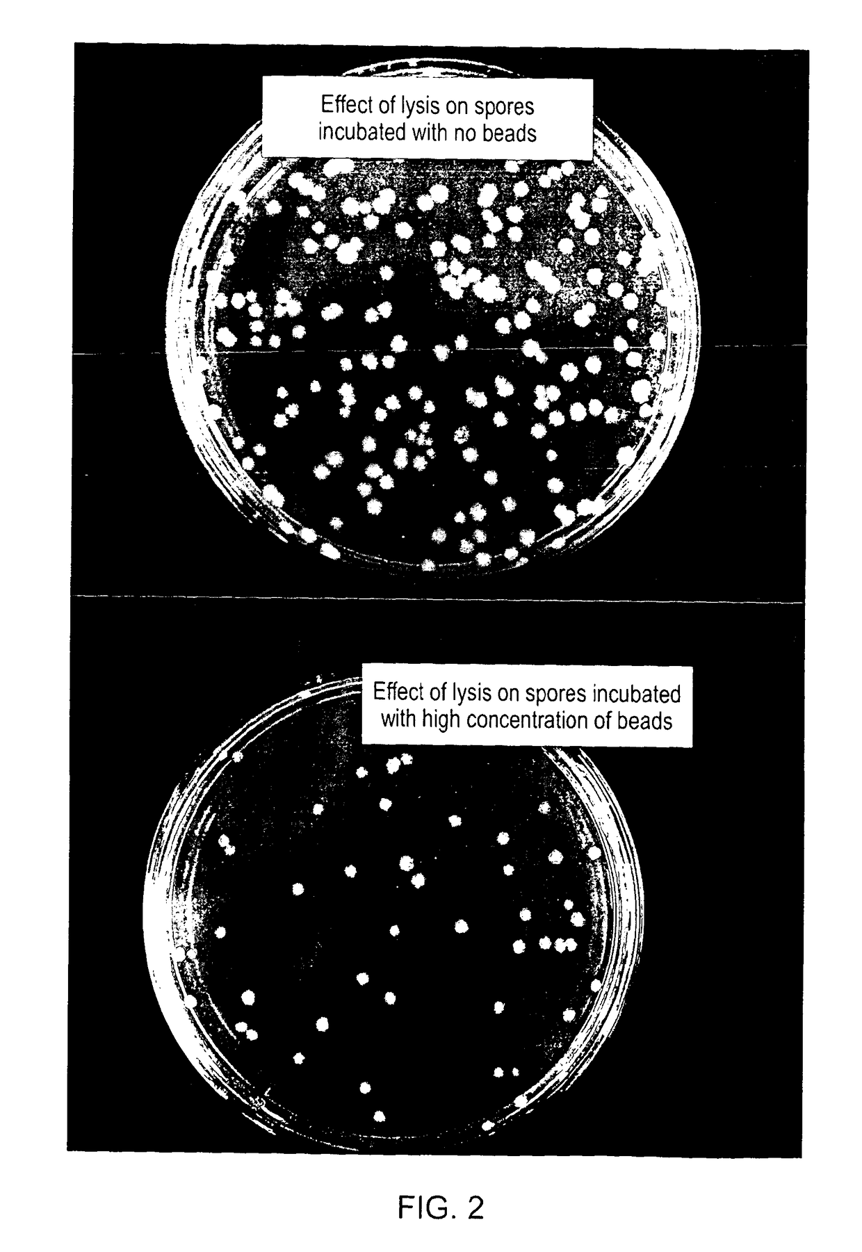 Method, device and system for targetted cell lysis