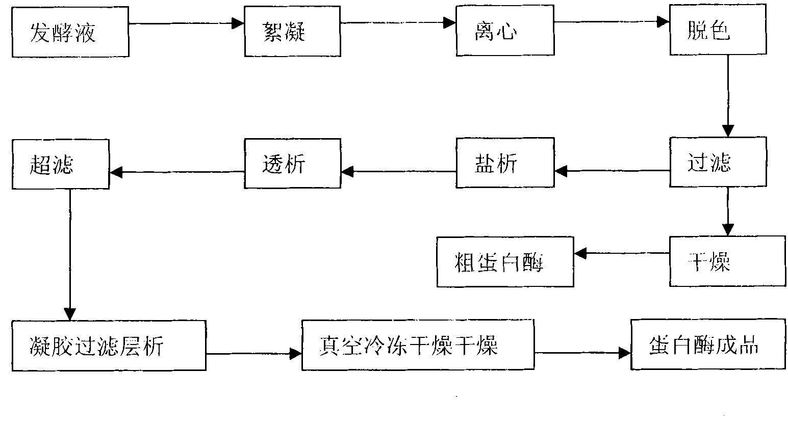 Process for preparing bacillus subtilis alkali proteinase with microorganism zymotechnics