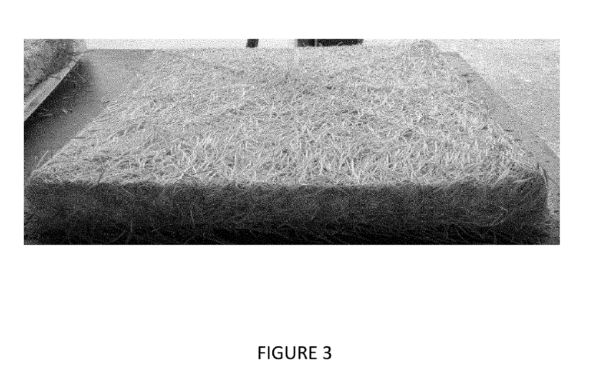 Method for obtaining root mass from vegetable seeds and root mass obtained thereof