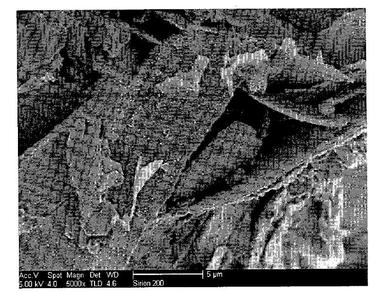 A kind of porous sheet-like cuinse2 nanometer material and preparation method thereof