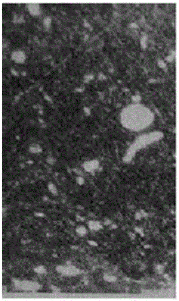 Preparation method of fractured carbonate rock core