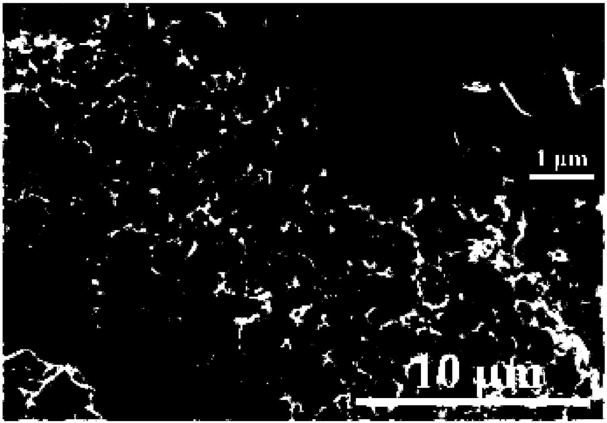 A sulfur cathode composite material based on porous biomass carbon and a preparation method thereof