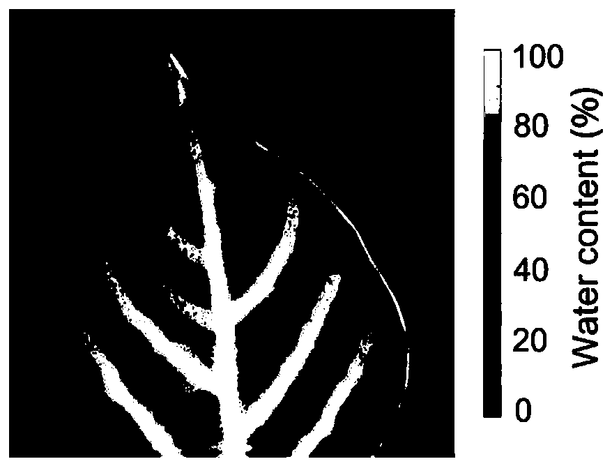 Method for quantitatively analyzing blade component distribution on basis of terahertz imaging technology