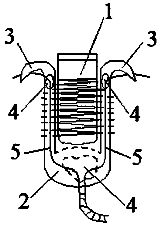 Belt carrier double-hook screw for treating acromioclavicular joint dislocation