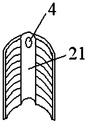 Belt carrier double-hook screw for treating acromioclavicular joint dislocation