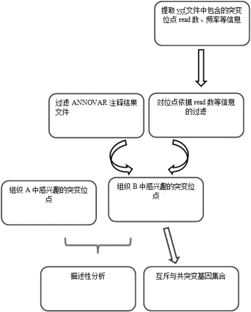 Tumor mutation site screening and mutual exclusion gene mining system